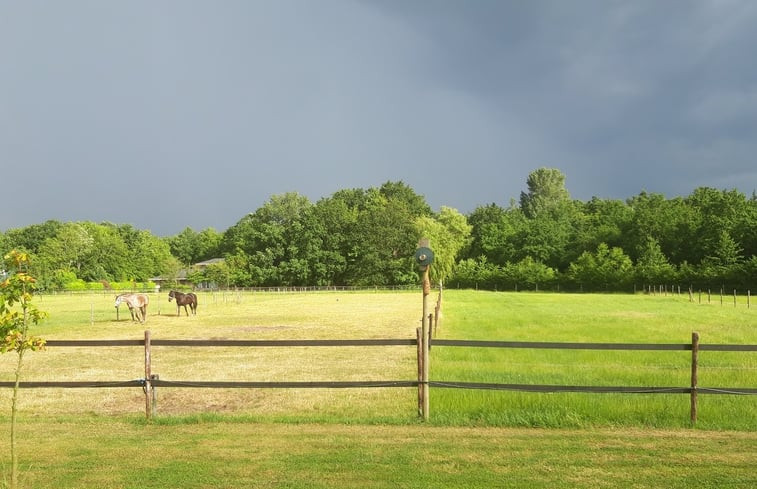 Natuurhuisje in Noordgouwe