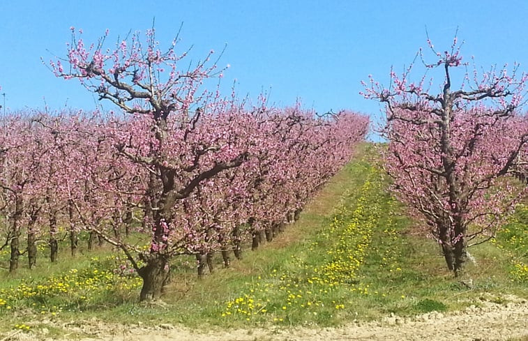 Natuurhuisje in Monflanquin