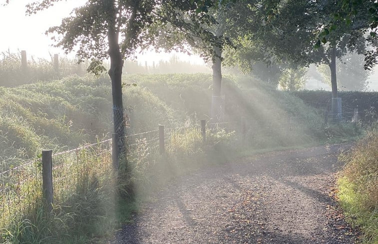 Natuurhuisje in Maasbommel