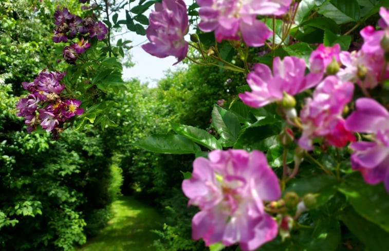 Natuurhuisje in Emst