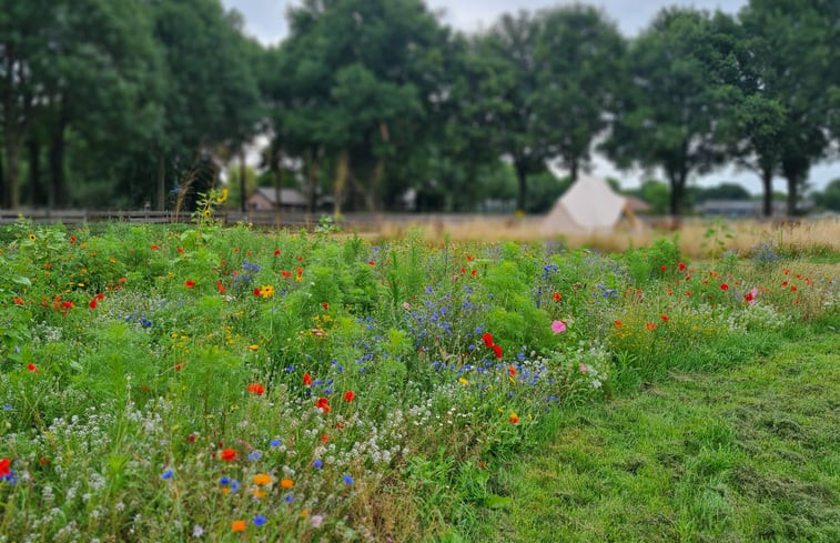 Natuurhuisje in Erp