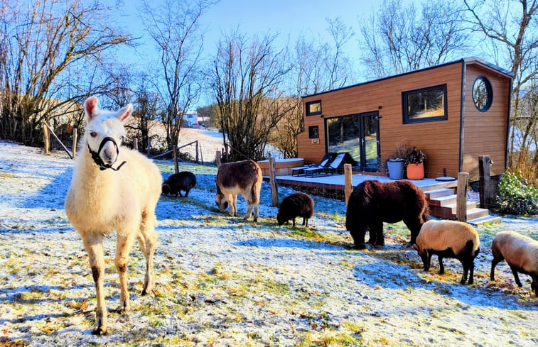 Natuurhuisje in LIBIN