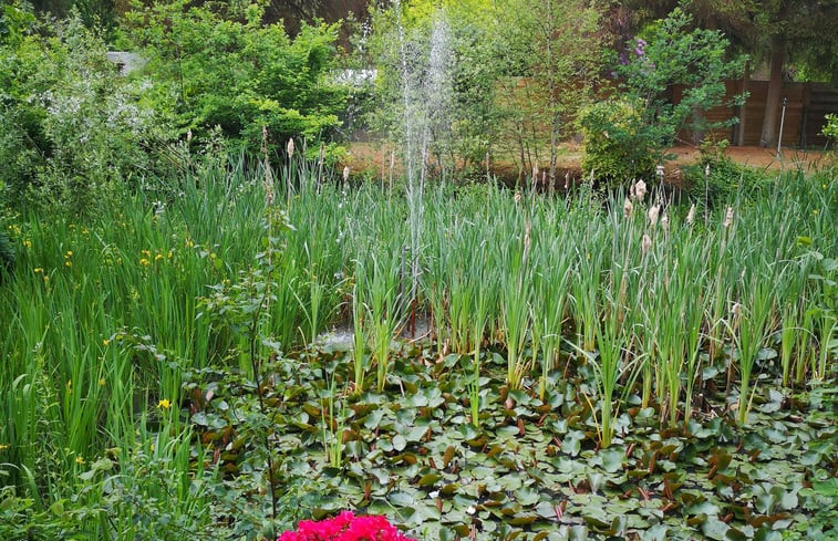 Natuurhuisje in Holsbeek