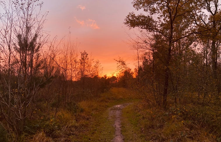 Natuurhuisje in Oisterwijk