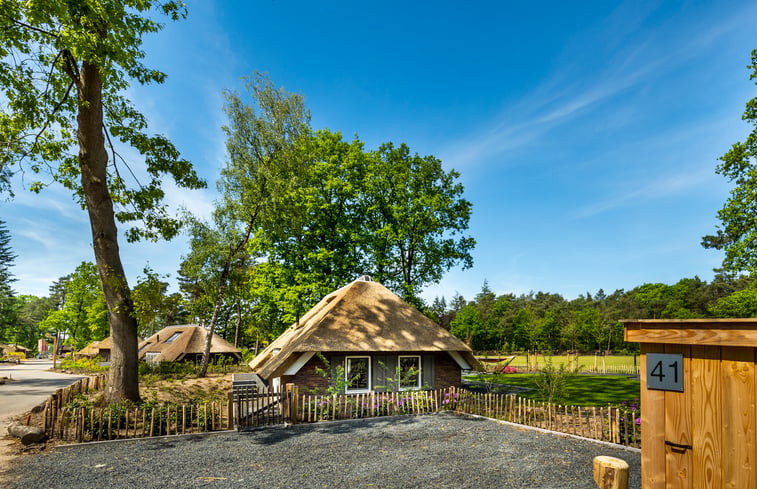 Natuurhuisje in Putten