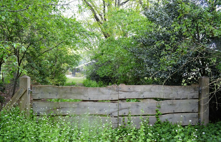 Natuurhuisje in Diever