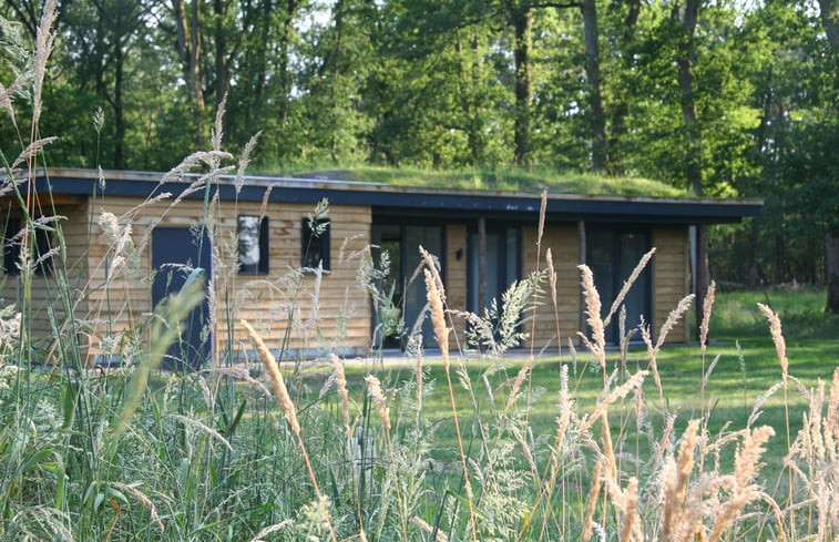 Natuurhuisje in Hellendoorn