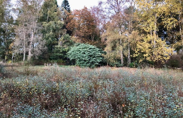 Natuurhuisje in Varsseveld