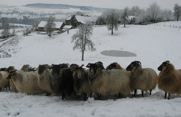 Natuurhuisje in Vijlen