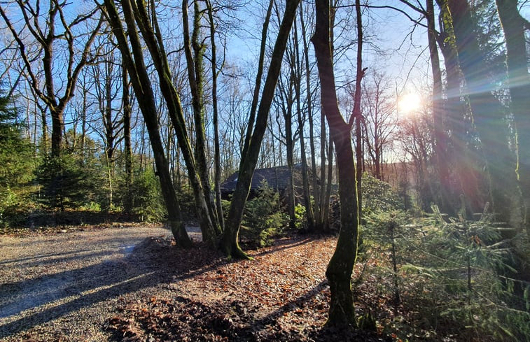 Natuurhuisje in Viroinval