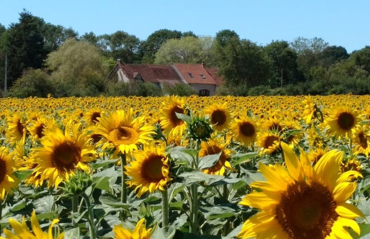 Natuurhuisje in HERRY