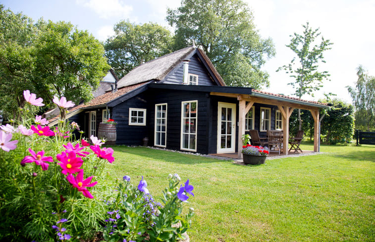 Natuurhuisje in Balkbrug