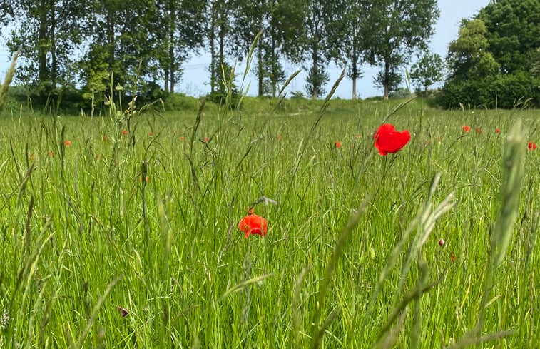 Natuurhuisje in Driewegen