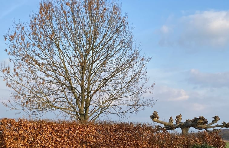 Natuurhuisje in Rhenen