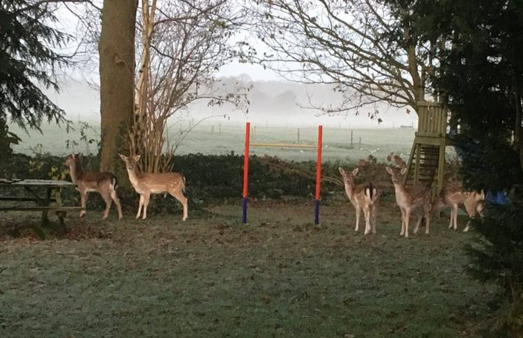 Natuurhuisje in Elsloo