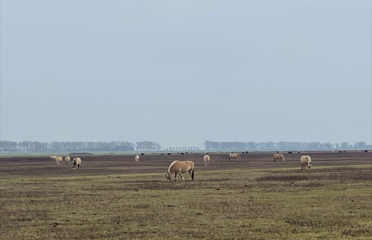 Natuurhuisje in Sommeldsijk