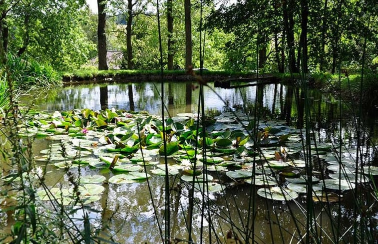 Natuurhuisje in Berg