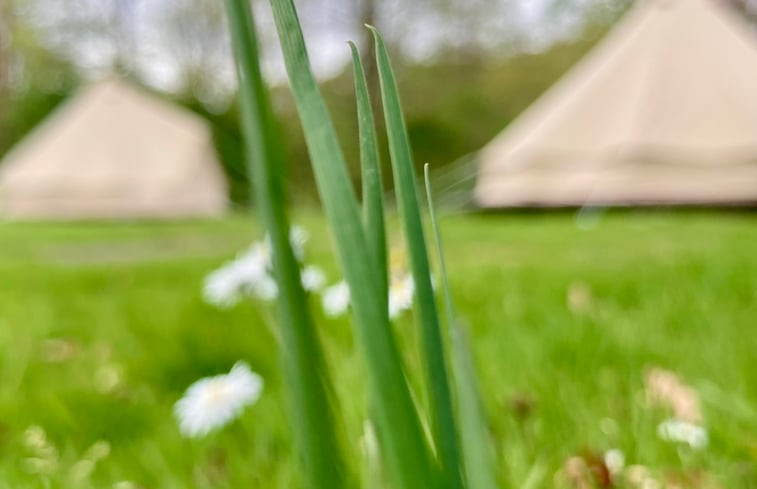 Natuurhuisje in Lochem