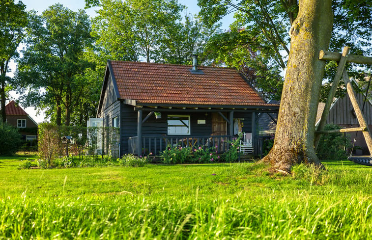 Natuurhuisje in Laren