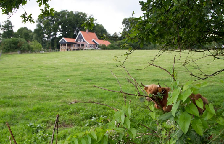 Natuurhuisje in de Lutte