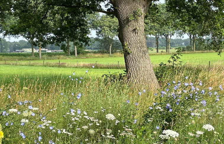 Natuurhuisje in Gilze