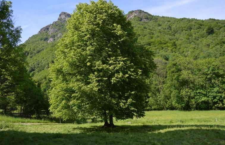 Natuurhuisje in vico canavese