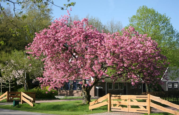 Natuurhuisje in Elim