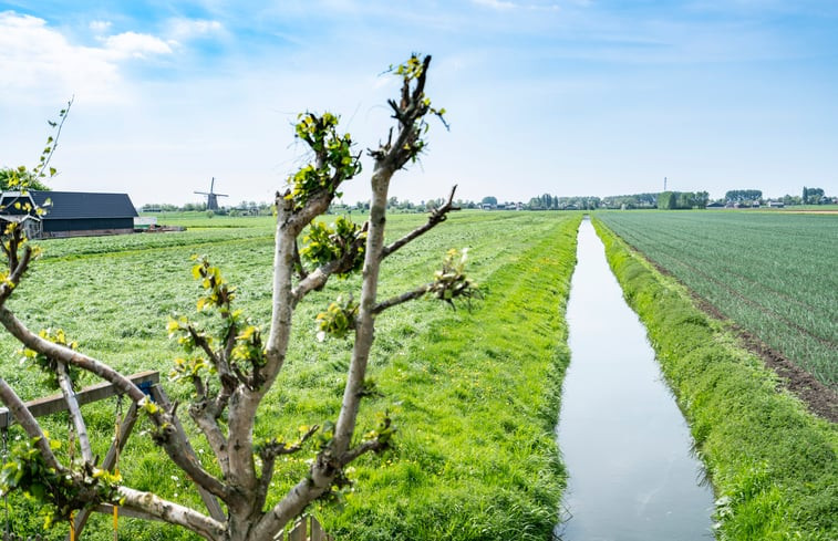 Natuurhuisje in Leimuiden