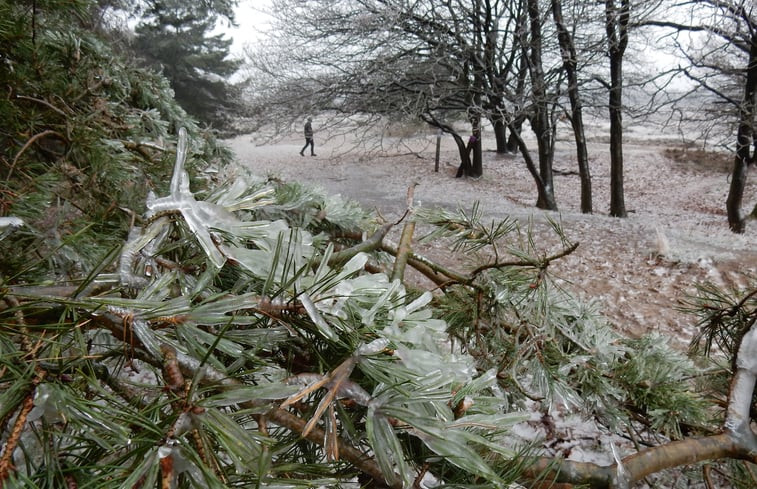 Natuurhuisje in Zuidwolde