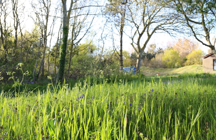 Natuurhuisje in Den Hoorn