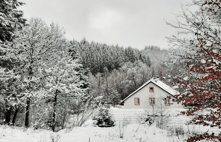 Natuurhuisje in Büllingen