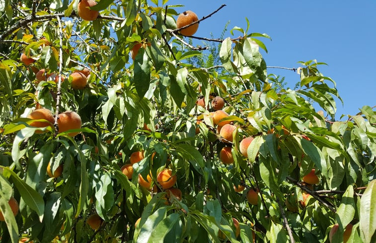 Natuurhuisje in PENSOL