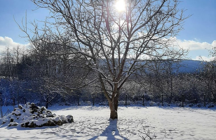 Natuurhuisje in Drežnik Grad