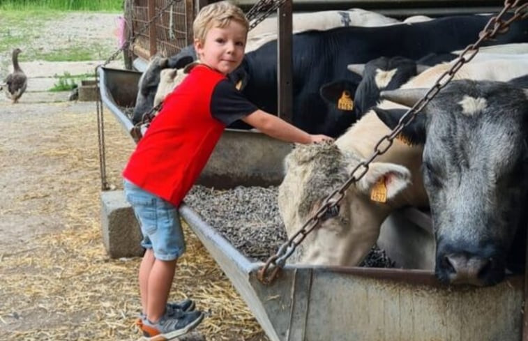 Natuurhuisje in heers