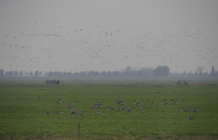 Natuurhuisje in Beets