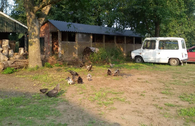 Natuurhuisje in Hengelo-Gld