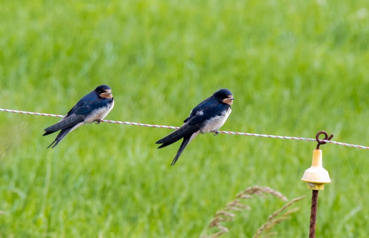 Natuurhuisje in Marle