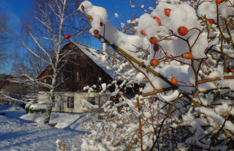 Natuurhuisje in Marianówka