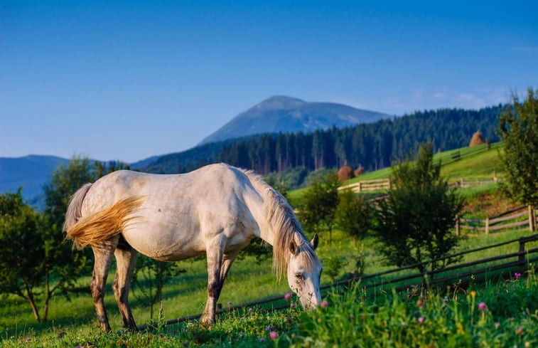 Natuurhuisje in Schwaibach