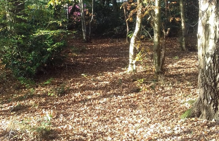 Natuurhuisje in Bakkeveen