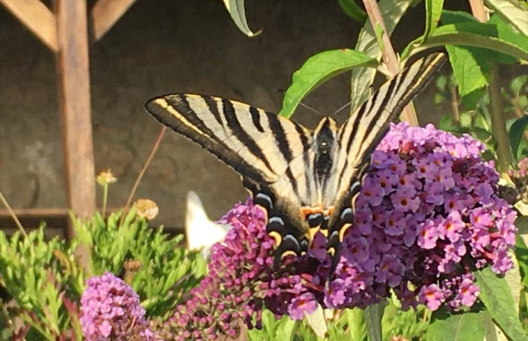 Natuurhuisje in Cabeceiras de Basto