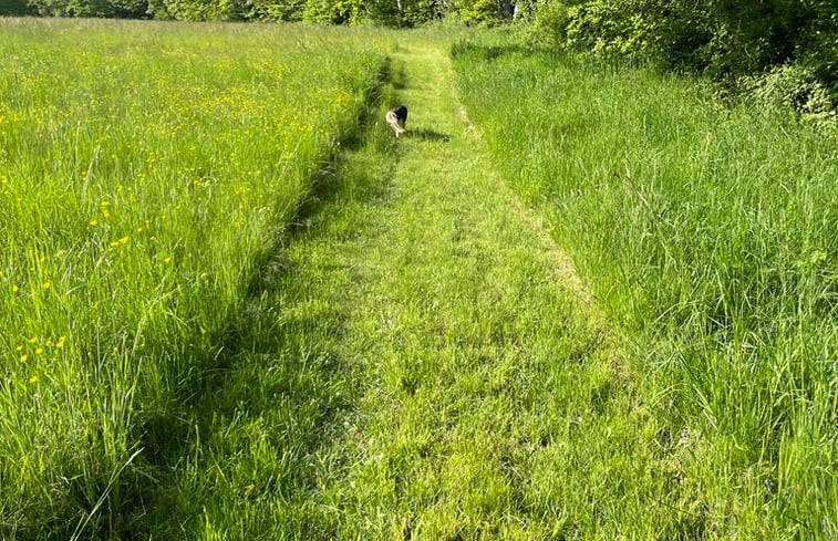 Natuurhuisje in Bourbon l&apos;Archambault