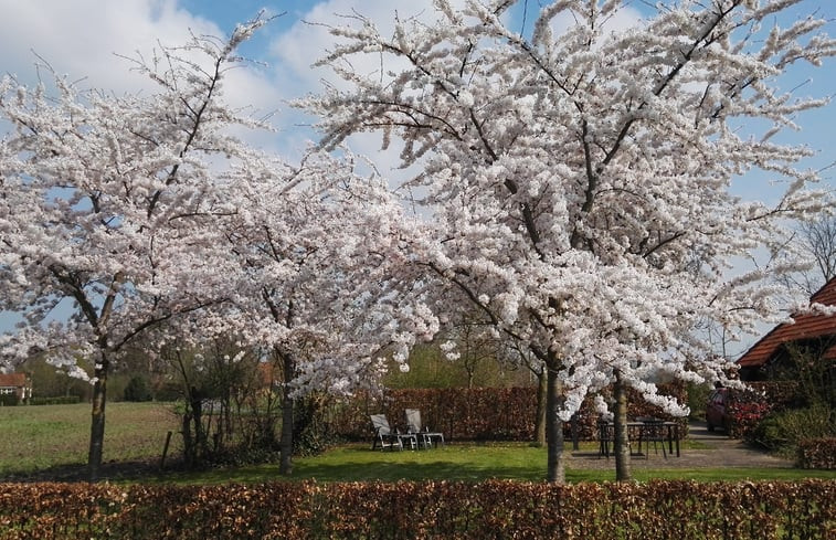 Natuurhuisje in Harfsen