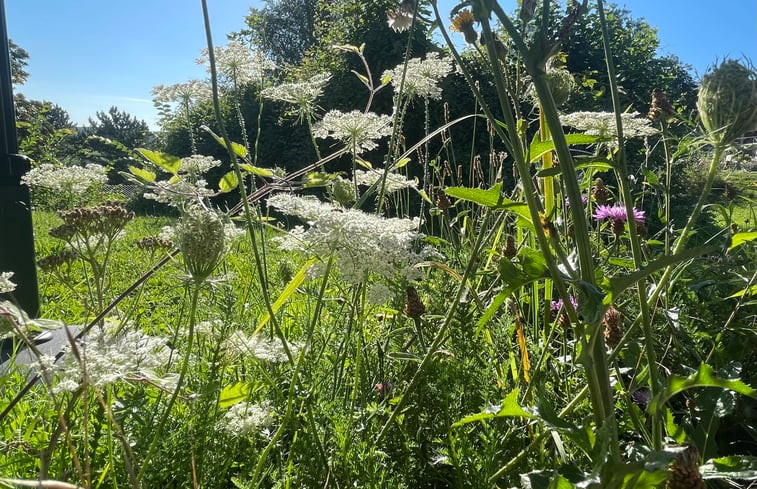 Natuurhuisje in Husen Lichtenau