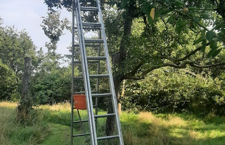 Natuurhuisje in Malden