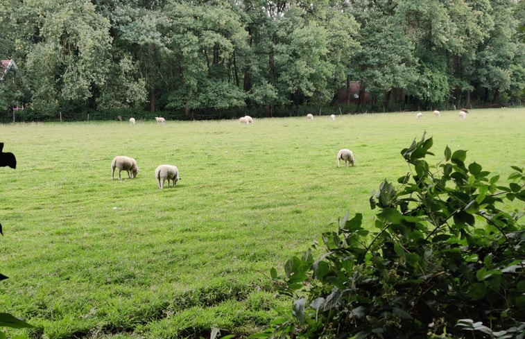 Natuurhuisje in Winterswijk Ratum