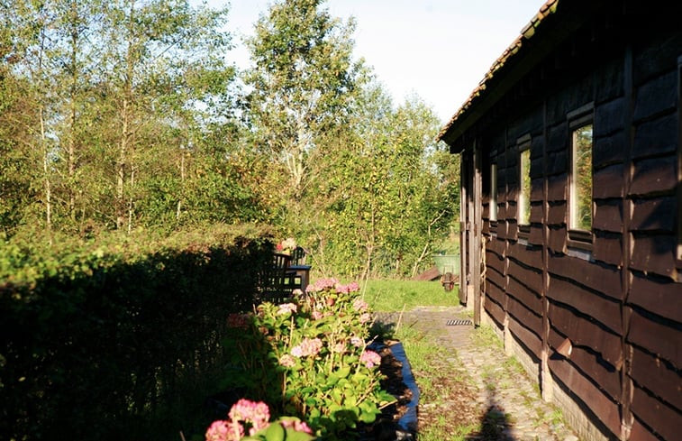 Natuurhuisje in de Bokkebuurt