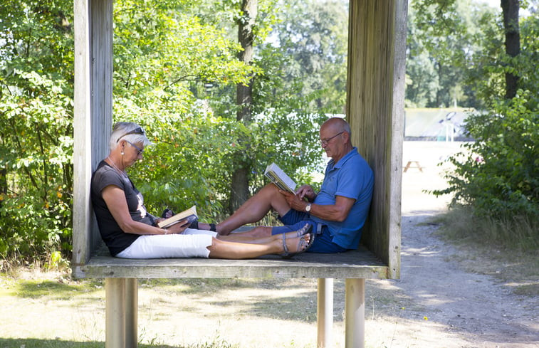 Natuurhuisje in Lemele