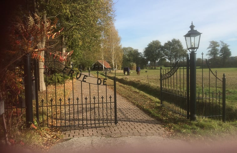 Natuurhuisje in IJhorst