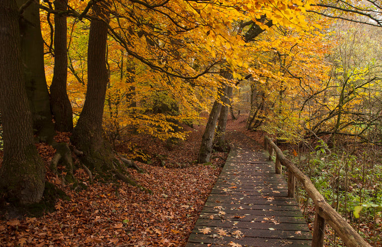 Natuurhuisje in Hezingen